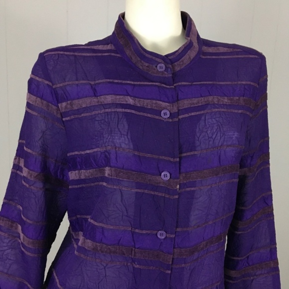 Analogy Royal Purple Shirt Top M Crinkle Velvet Sheer Woman’s Classy Dressy - Picture 5 of 9